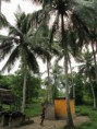 /album/galleria-foto-prima-farm/img-5820-copia-jpg/